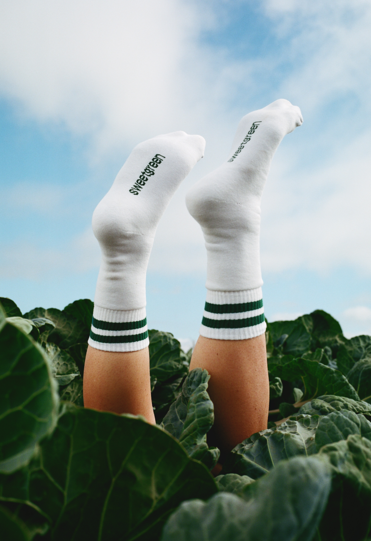 The Crew Socks